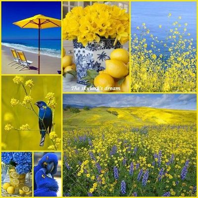 "Cherchons le positif"…..