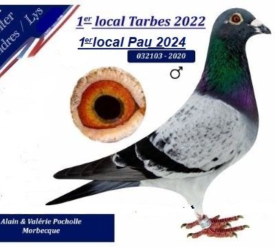 On le voulait dur ce Pau laissera des traces dans beaucoup de pigeonniers ,il faut déjà penser Agen et la suite.