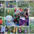 Permaculture Maison des Enfants janvier 2024