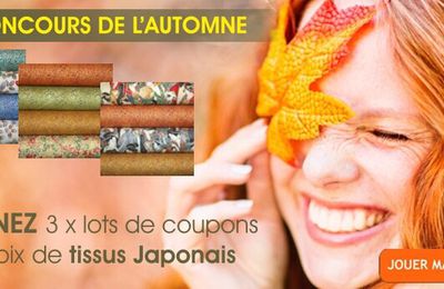 super concours "avenue des tissus"!!!