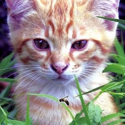 La petite  " M A Y A "