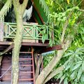 Ecolodge en Guadeloupe 