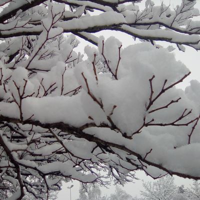 Retrouvailles à l'atelier nomade