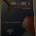 Erwin Motor