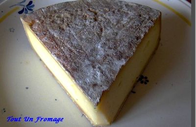 Tartines de Saint Nectaire au Jambon d'Auvergne