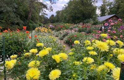 34ᵉᵐᵉ Concours International du Dahlia de Paris 2022