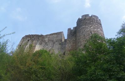 FOULQUES NERA , LE VAUBAN DE TOURAINE  I