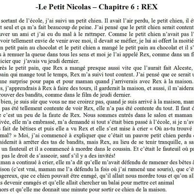 Lecture d'un texte - Le Petit Nicolas - Chapitre 6 - REX - Aída