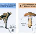 dessins naturalistes et/ou pédagogiques