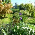 Un jardin, même tout petit, c'est la porte du paradis..... Marie Angel