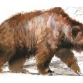 Il y a 300.000 ans, les humains portaient des peaux d'ours pour se protéger du froid.