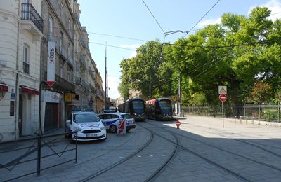 La Fnaut demande un effort massif pour le transport public, Thierry Mallet PDG de Transdev demande un plan de soutien européen