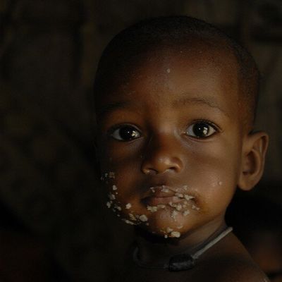 LA RECOLTEUSE DE MOTS BIENTOT AU TRAVAIL