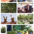 Marrakech # 2 - Pauses et jardins
