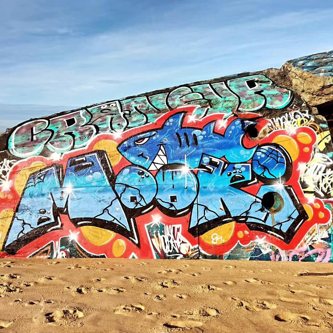 Capbreton, plage de la Savane, blockhaus requin, décembre 2024, insta (40)