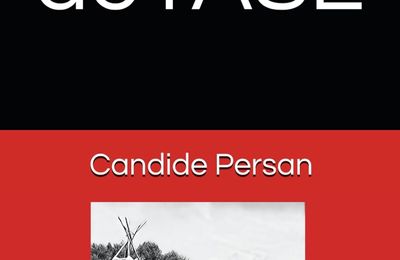 Note de lecture : L'enfer de l'ASE, par Candide Persan