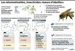 Le Conseil d'Etat valide le retour temporaire des néonicotinoïdes, ces insecticides "tueurs d'abeilles"