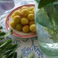 Mirabelles de Lorraine