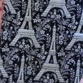 Natacha adore la Tour Eiffel