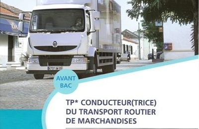 Le Titre Professionnel de conducteur routier de marchandises sur Porteur