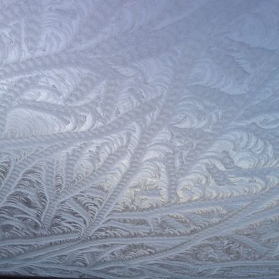 Complètement givré 