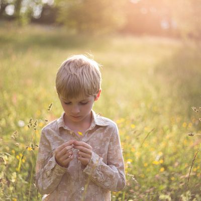 Shimazaki-soleil-couchant