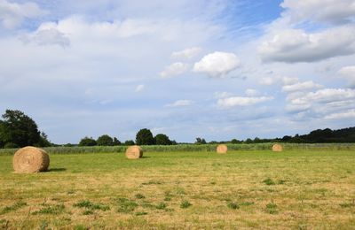 Un Superbe samedi du côté de Langon (Ille-et-Vilaine) le 31 mai 2025 (2)