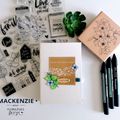 Un mini album par Mackenzie avec le coffret créatif