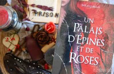 [ AVIS LECTURE ] Un palais d'épines et de roses de Sarah J. Maas