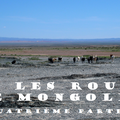 Sur les routes de Mongolie - Partie 4 : Une longue transition vers le Centre