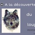 Livre numérique sur le loup 