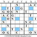 Mon vingt-neuvième centrosudoku