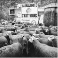 RESUME DE LA SEMAINE !!!