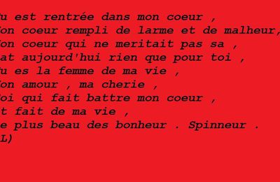 Les Poèmes à Spinneur ... 