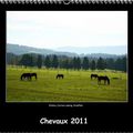 Calendrier chevaux 2011