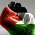 Palestine me voilà ! : Saison 1 épisode 1
