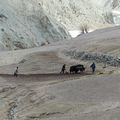 La petite baraque dans le Ladakh