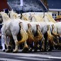 PARADE BOULONNAISE...