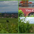 Sur la route des vins d' Alsace