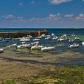 Dans la presqu'île de Quiberon