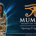 Expo Mummy Secrets of the tomb, Artscience museum