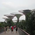 Gardens by the bay