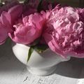 Pivoines ....