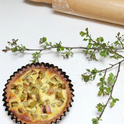 La rhubarbe: mon pêché mignon