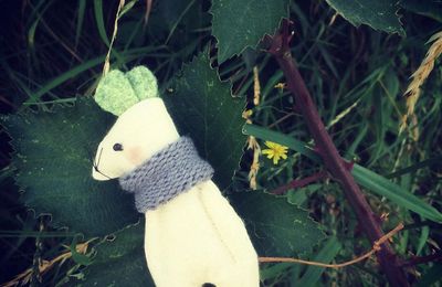 Les souris du compost...