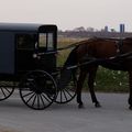 Rencontre avec les Amish