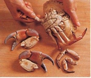 Découpage d'un crabe