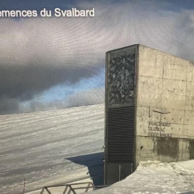 A. I. E.  Janvier 2025