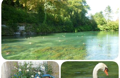 Exposition à ne pas louper à Druyes les Belles Fontaines...