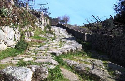 CAMINHOS A PERCORRER